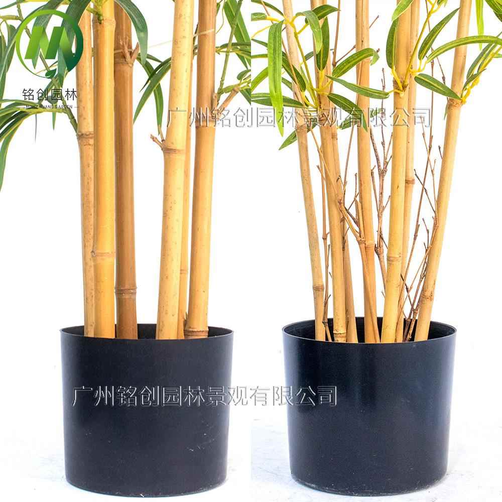 仿真植绿造景假观竹子仿真盆栽仿仿真植物假绿植景用真竹002子盆