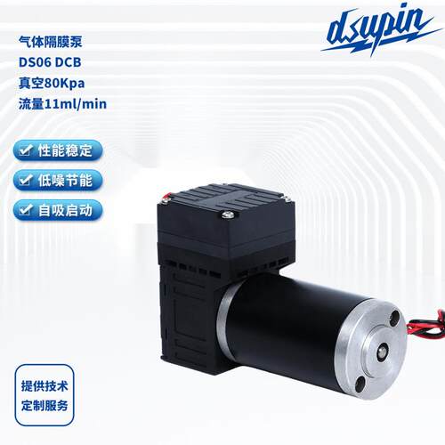 气体隔膜泵DS06DCB无刷隔膜微型真空泵12V/24V气体采样泵供应