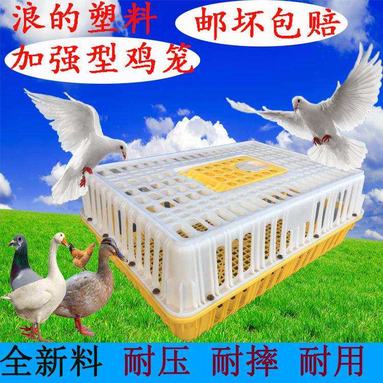 厂家浪的塑胶鸡笼加厚运输养殖专用 鸡笼大号适用鹌鹑鸡鸭兔