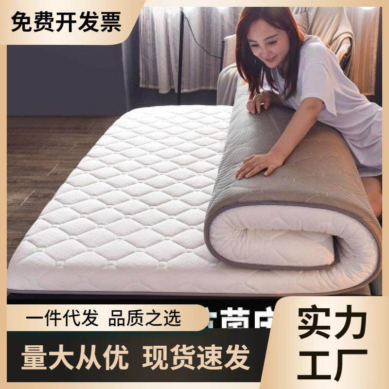 法莱绒床垫加厚记榻无品牌/米海子绵垫单双人榻宿舍垫被褥子忆棉