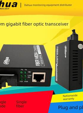 大华工业级光纤收发器单模单纤百兆DH-OTE113TC-G+RC-G/113T/R-G