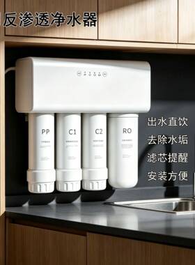 净水器家用大流量反渗透集成水路除垢净水机厨房自来水直饮饮水机