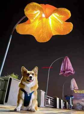 体感向花跟装置ltao1007开合感应眼球日葵体网红人感随应互动花花