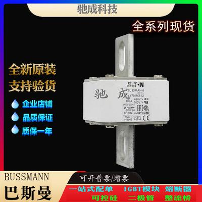 巴斯曼170M6614 170M6615 170M6616 厂家直供零售 低压熔断器