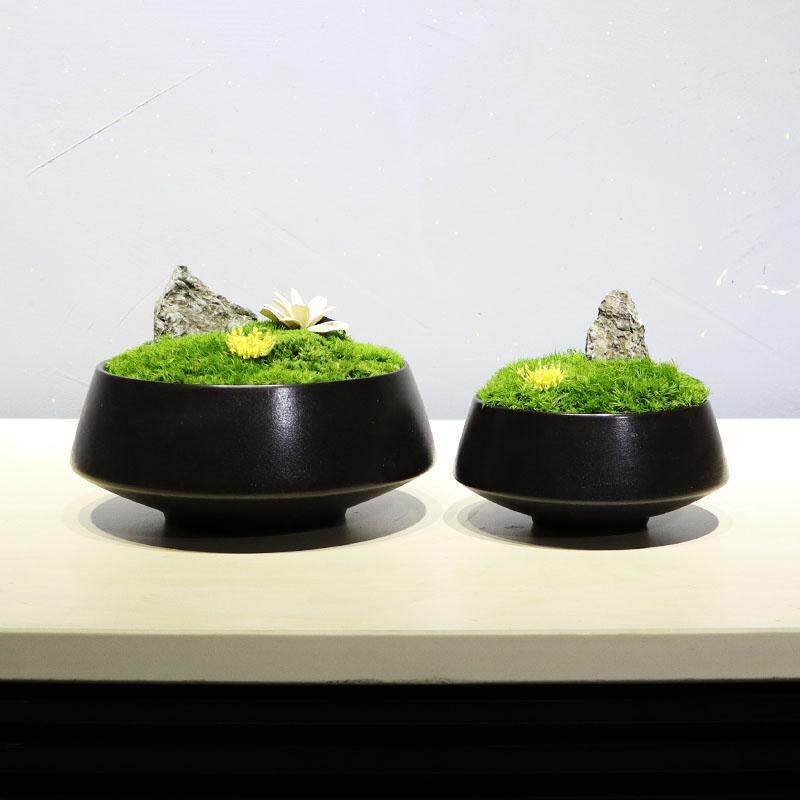 彷真绿色植物盆景永生苔藓植物陶瓷盆洽淡茶几室新中式样品屋展示