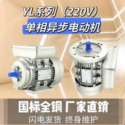 YL ML YC7114 7124 8014 8024 90S 90L 100L-4 2铜线单相国标电机