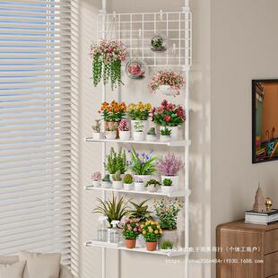 多肉花架置物架阳台层架顶天立地客厅支撑杆展示架室内植物摆放架