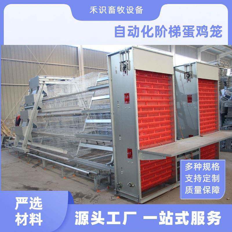 全自动阶梯蛋鸡笼养鸡养殖设备加背负式喂料机捡蛋机多层阶梯热镀