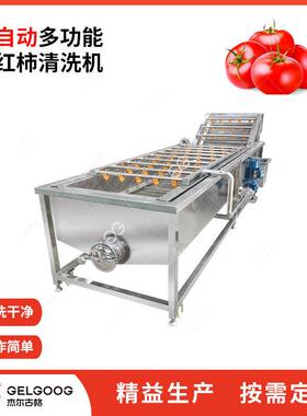 2024全自动番茄清洗设备小西红柿清洗风干机械西红柿清洗机