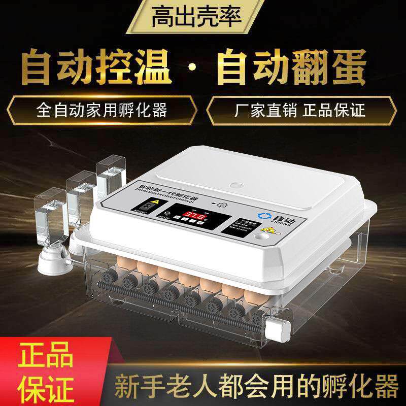 孵化器小型家用全自动智能孵化机迷你小鸟孵蛋器芦丁鸡恒温孵化箱