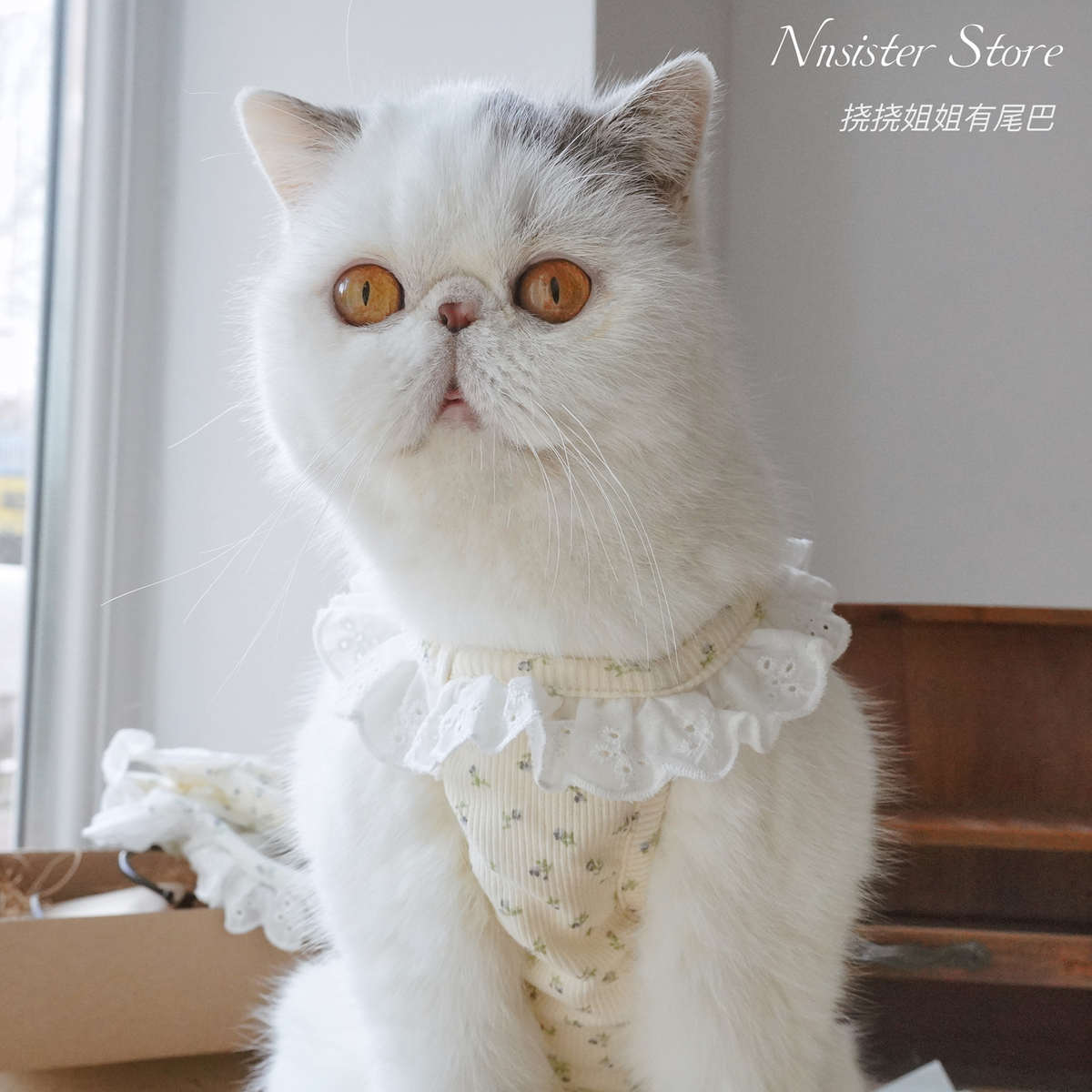碎花猫咪衣服纯棉背心蕾丝bm风春夏季薄款比熊泰迪宠物狗狗家居服