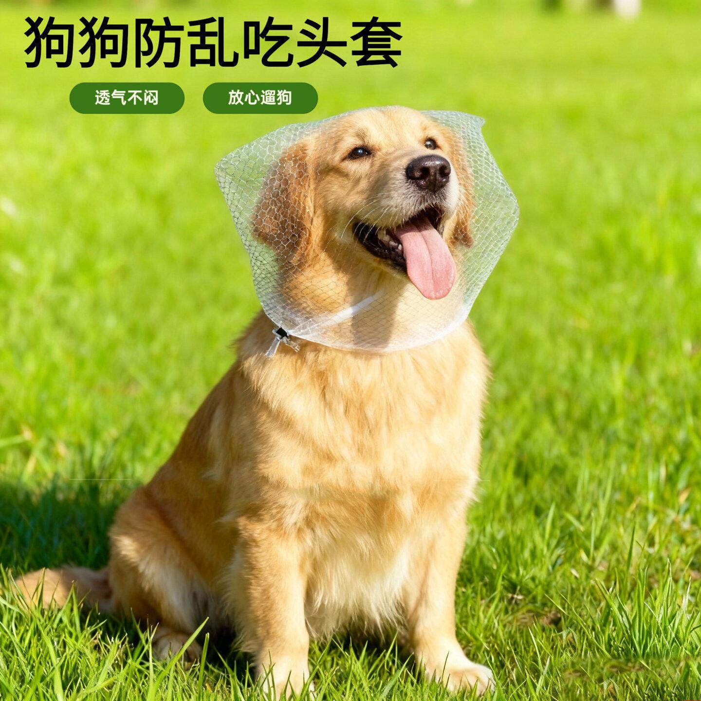 狗狗防乱吃头套透气户外可调节防猫咪咬人专用网罩中大型犬口罩