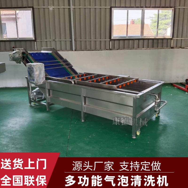 番茄罐头生产全套设备全自动西红柿气泡清洗机圣女果鼓泡清洗机