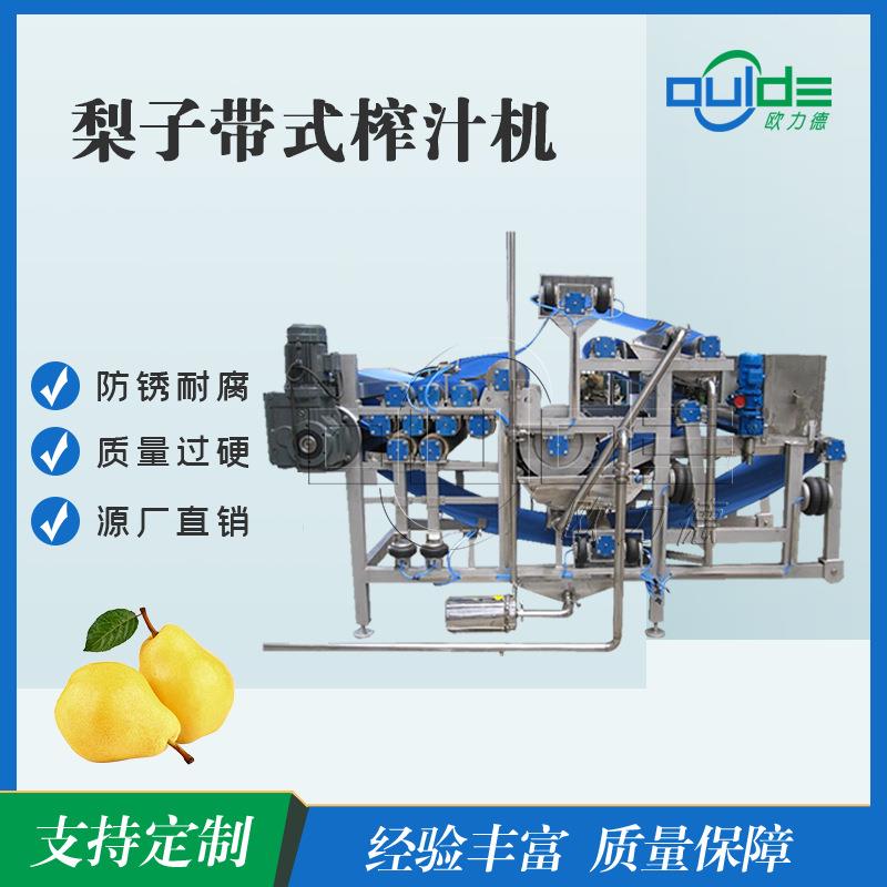 全自动工业果蔬榨汁机不锈钢蔬菜水果脱水梨子柑橘番茄带式压榨机