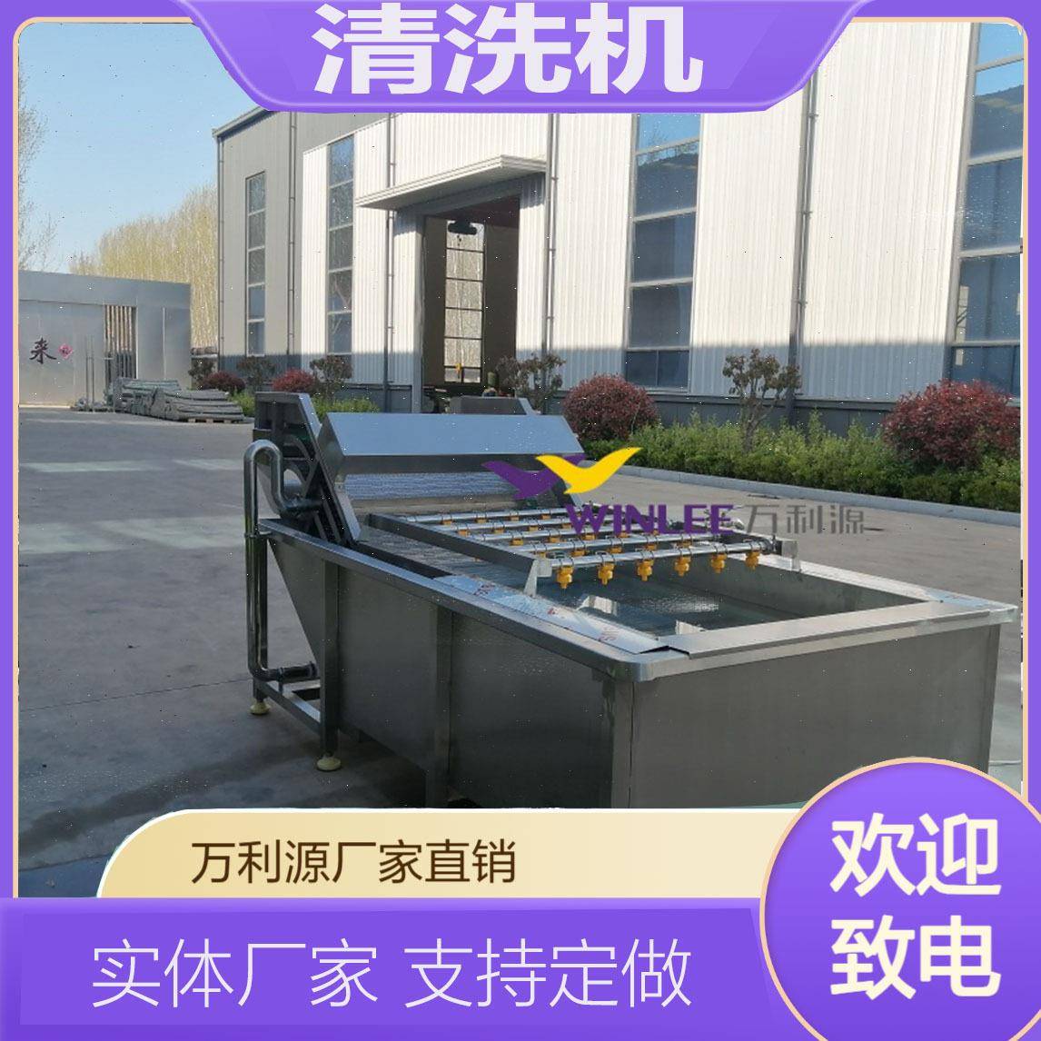 果蔬气泡清洗机橘子大枣枸杞清洗机连续式洗果机厂家