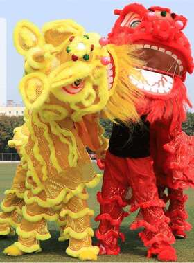 舞狮道具一整套南狮全套成人头单人一人儿童新品2新款式