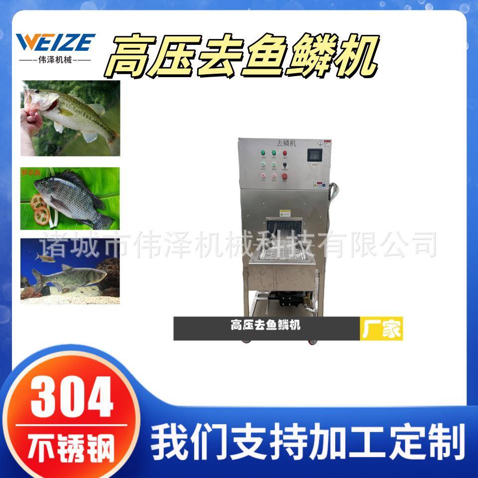 鲐鱼高压水去鳞机 草鱼鲳鱼刮鱼鳞机器 全套鱼加工设备厂家伟泽