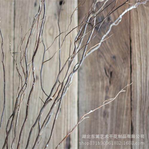 龙柳干花干植物树枝家居客厅装饰干树枝拍摄道具龙柳枝曲柳干树枝