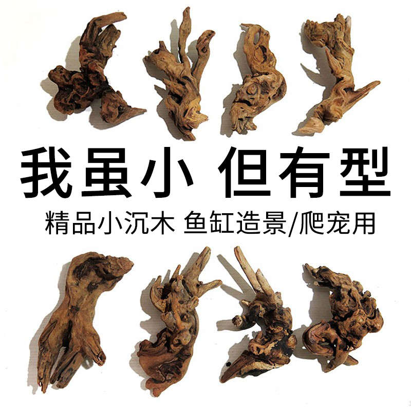 鱼缸造景小型沉木可绑水草天然珊瑚木莫斯树小树桩装饰爬宠攀爬木