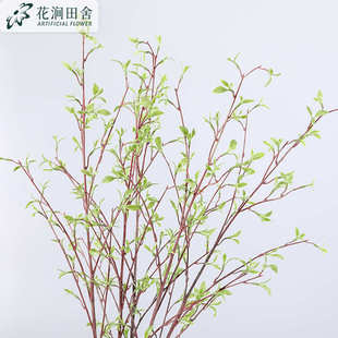 仿真植物 小叶芽枝 龙柳枝绿色花艺配材柳芽柳支线条花艺家居装饰