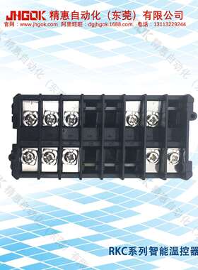 REX-C400FK02-V*AN RKC智能温度控制器 数字计温仪 计温表 工厂