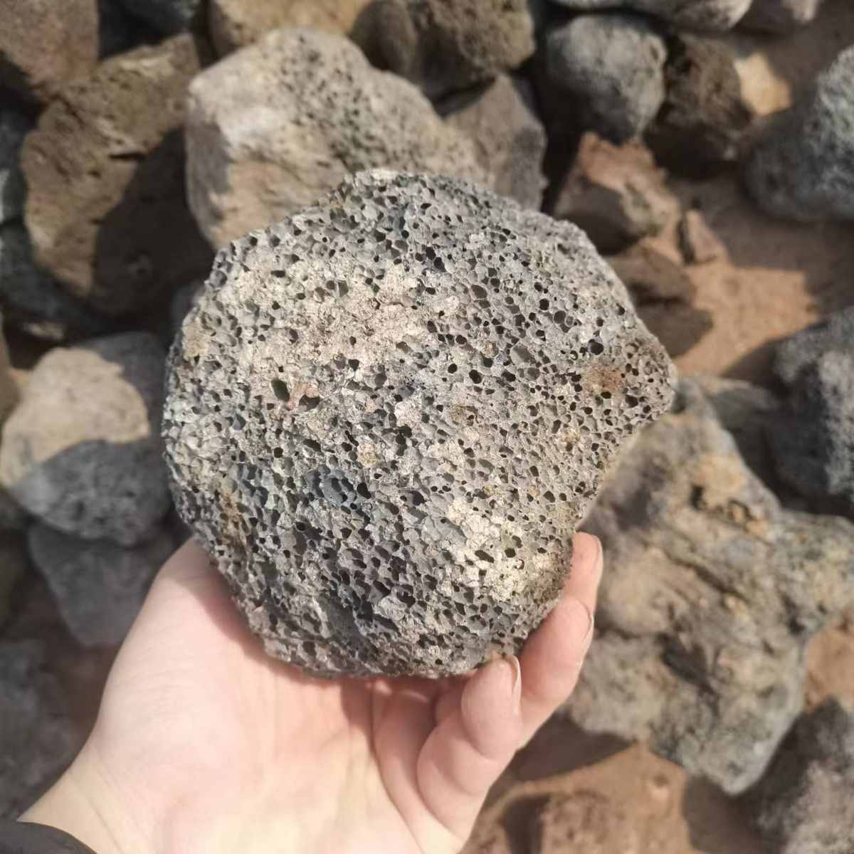 杂色火山石污水处理 粪池处理鱼缸造景现货供应黑色红色火山岩