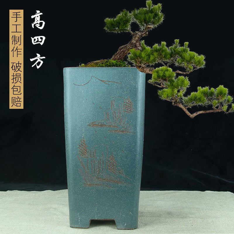 宜兴紫砂花盆大号高筒四方兰花盆中国风四边种树陶瓷花盆