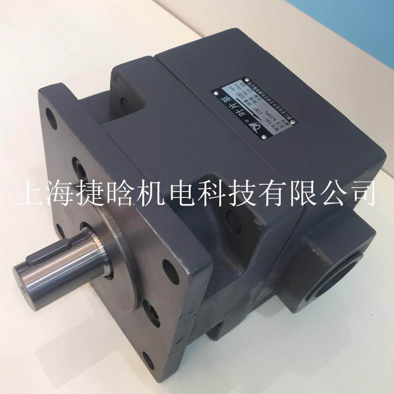 YLC/永灵液压泵 YB1-63-125/63-125 中压叶片泵