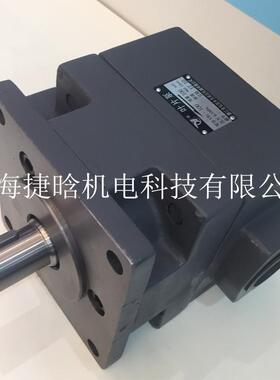 YLC/永灵液压泵 YB1-63-125/63-125 中压叶片泵