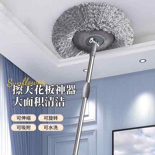 掸子天花板家用扫尘卫灰尘鸡毛打扫灰除尘清82生洁工具德国高处