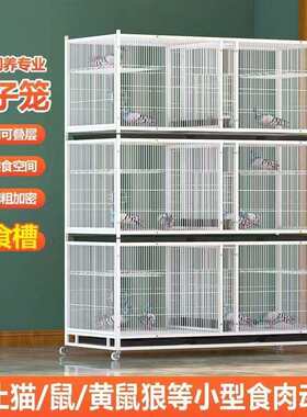 信鸽配对笼鸽棚12位信鸽繁殖笼16位肉鸽配对笼大号家用养殖鸽子笼