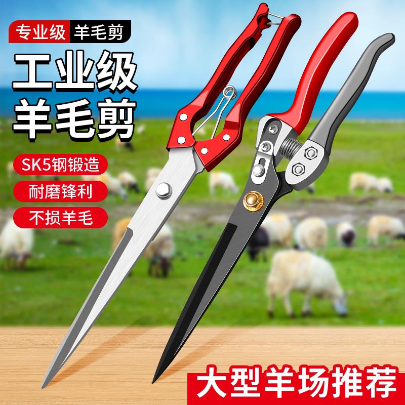 剪羊毛剪子羊毛剪刀手动绞绵羊毛专用弹簧兔狗毛大号修毛剪果枝剪图片