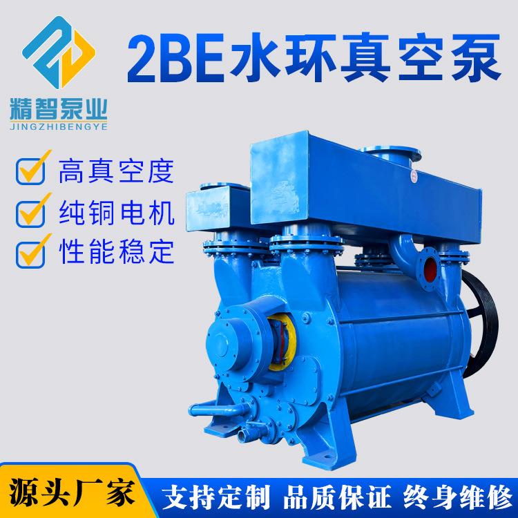 厂家直供2BEA202/203/252/253/303/353/2BEC40/42系列水环真空泵