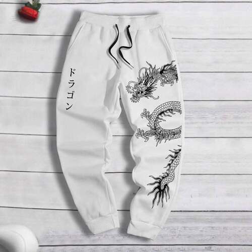 Men's Drawstring Waist Athleisure Sports Pants with Trendy