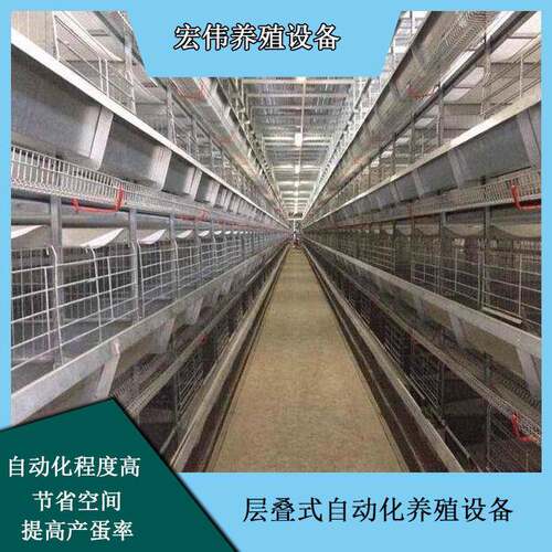蛋鸡自动化立式养鸡设备蛋鸡笼养殖机械养鸡大棚