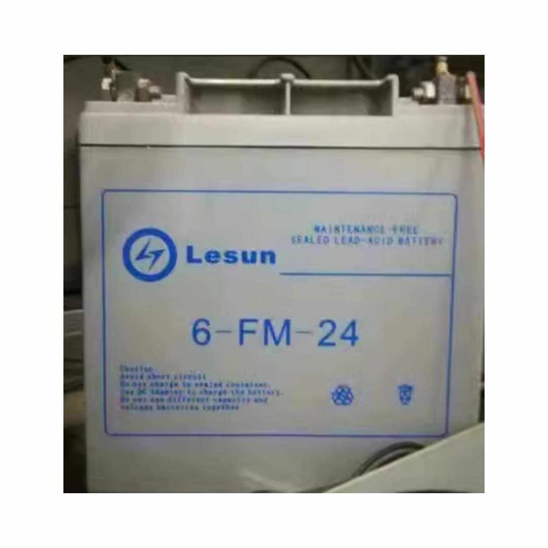 Lesun蓄电池6-FM-65/12V20A/24A/38A/40/100AH 机房电源UPS直流屏