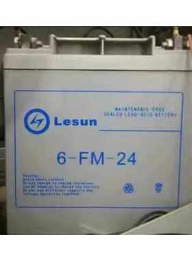 Lesun蓄电池6-FM-65/12V20A/24A/38A/40/100AH 机房电源UPS直流屏