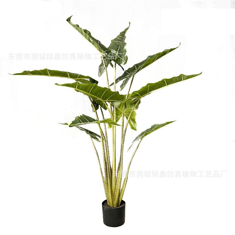 仿真植物盆栽萨利安海芋仿真绿植海芋落地大型仿真盆景