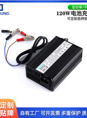 25.2V4A电动滑板车独轮车充电器 22V6串聚合物锂离子电池组充电器