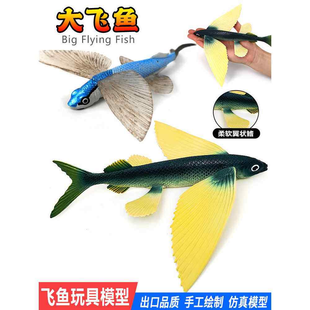 仿真海洋动物飞鱼模型鲫鱼鲨鱼玩具河豚鲤鱼三文鱼儿童认知礼物