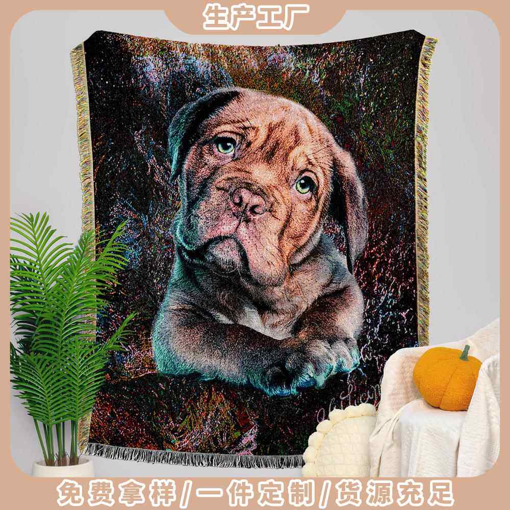 新品挂毯装饰毯防尘全盖沙发巾沙发套罩加厚办公室午睡毯线毯