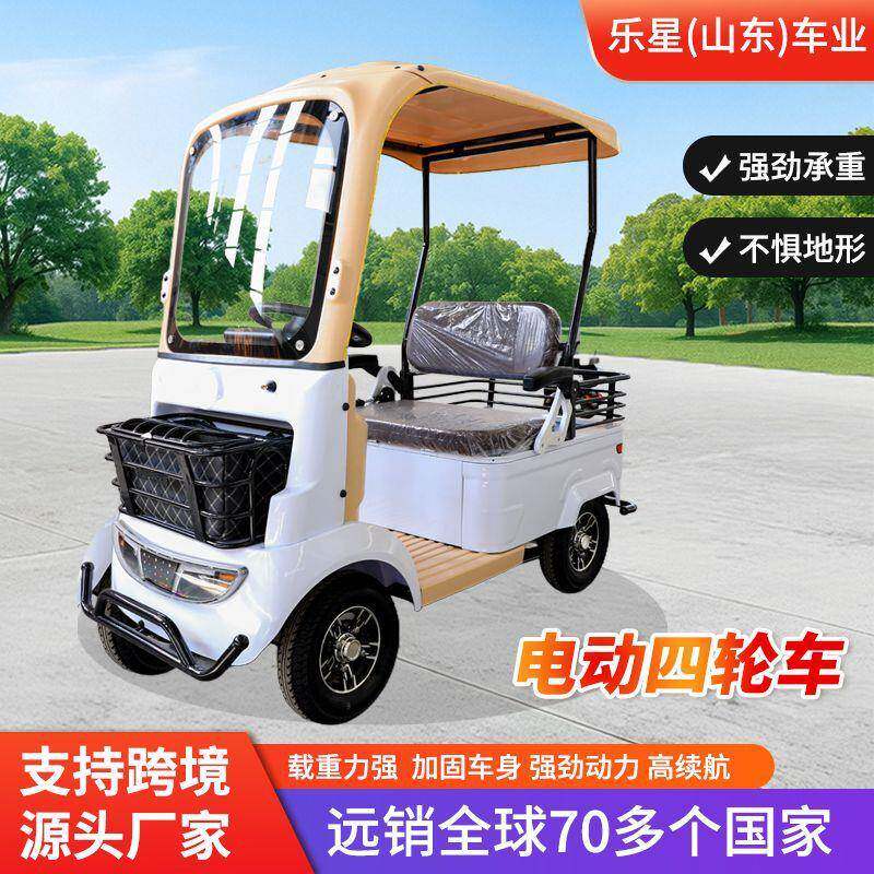 带棚电动四轮车景区观光车老年人双人座老爷乐大功率电动代步车