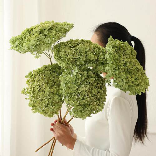 高级感绣球干燥花花束真花风干天然干燥树枝装饰永生花客厅餐桌艺