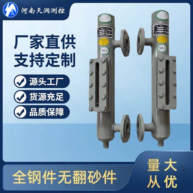 锅炉电极探针水位计玻璃视窗一体感测器自动控制蒸汽产生器液位计