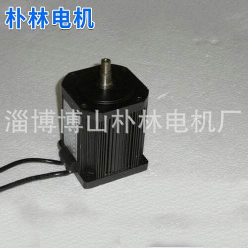 厂家100WS40-300美观环保直流齿轮减速电机48V