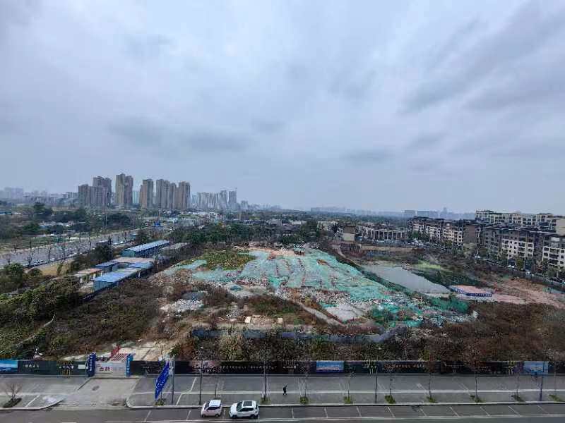 3月19日成都市枫丹铂麓项目五期土地使用权及地上样板房网络拍卖公告