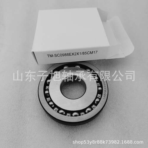 厂家直供TM-SC0988SC06D03CM09V1B70-19B45-130汽车变速箱轴承
