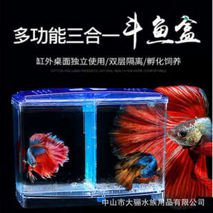 斗鱼隔离盒亚克力独立繁殖多功能观赏鱼缸外饲养孔雀鱼孵化盒