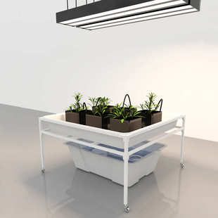 温室大棚水培蔬菜植物生长种植4x4移动水培盆支架种植架批发定制