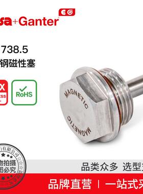 ElesaGanter伊莉莎冈特GN738.5不锈钢磁性塞